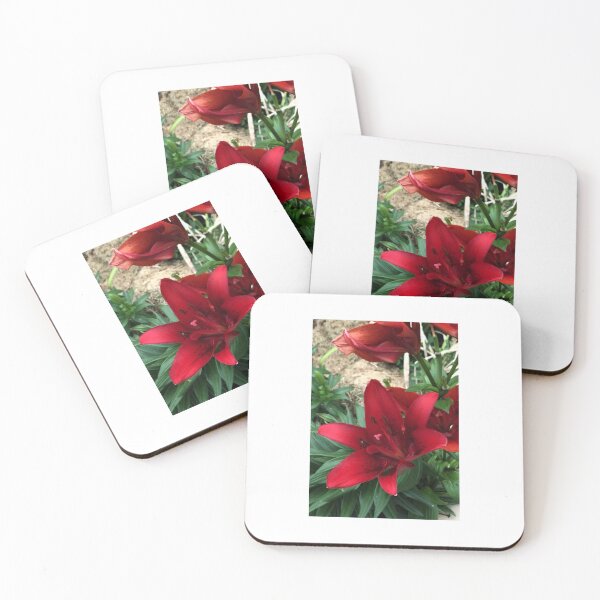 Item preview, Asiatic Lily designed and sold by Quantum-Life.