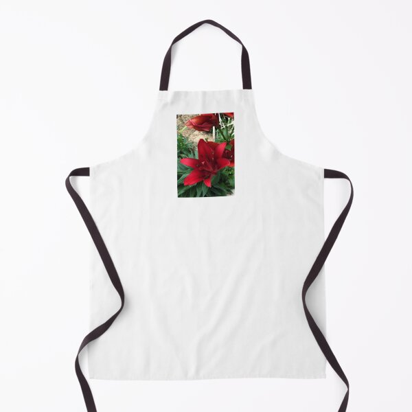 Item preview, Asiatic Lily designed and sold by Quantum-Life.