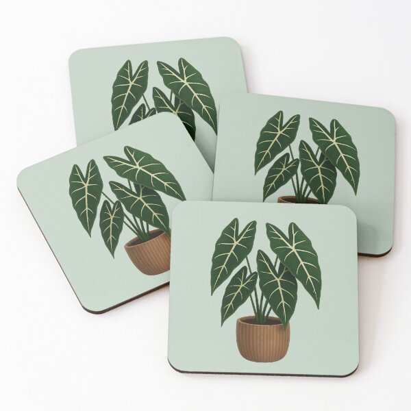 Item preview, Alocasia Frydek – Rare Velvet Leaf Aroid Plant designed and sold by Planthem.
