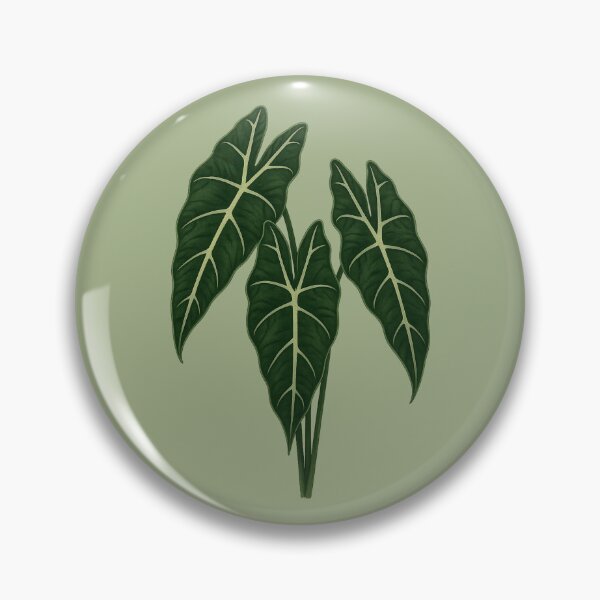 Item preview, Alocasia Frydek – Velvet Arrow Leaf Plant designed and sold by Planthem.