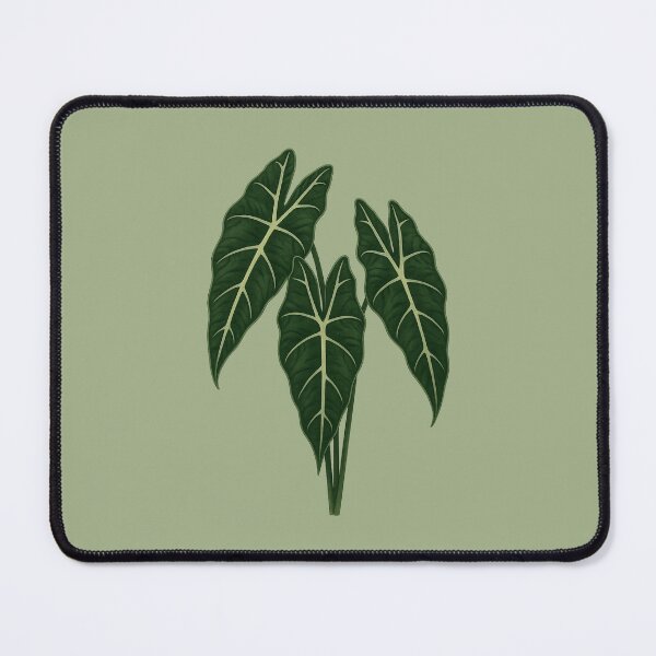Item preview, Alocasia Frydek – Velvet Arrow Leaf Plant designed and sold by Planthem.