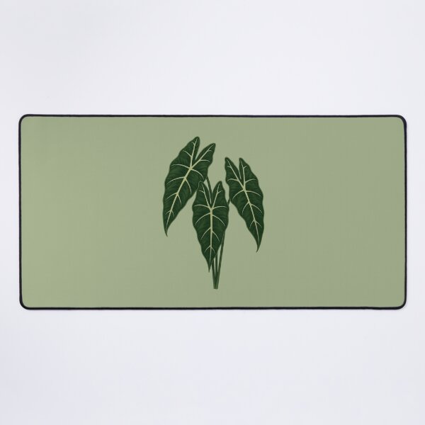 Item preview, Alocasia Frydek – Velvet Arrow Leaf Plant designed and sold by Planthem.
