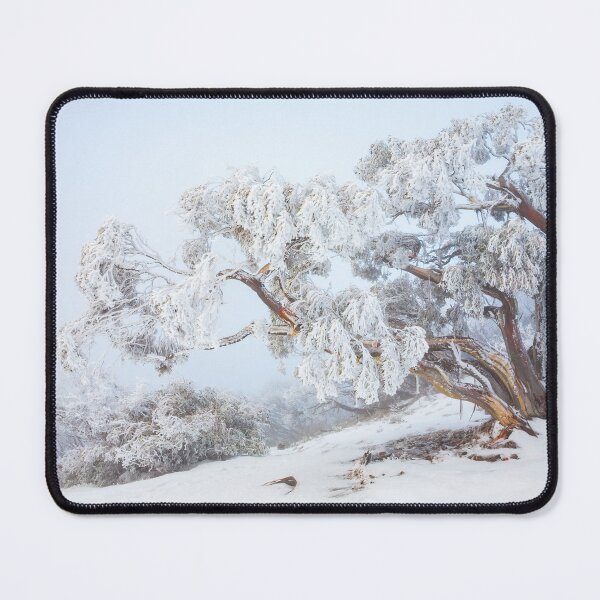 Item preview, Snowbound Snowgum, Mt Feathertop, Australia designed and sold by Michael Boniwell.