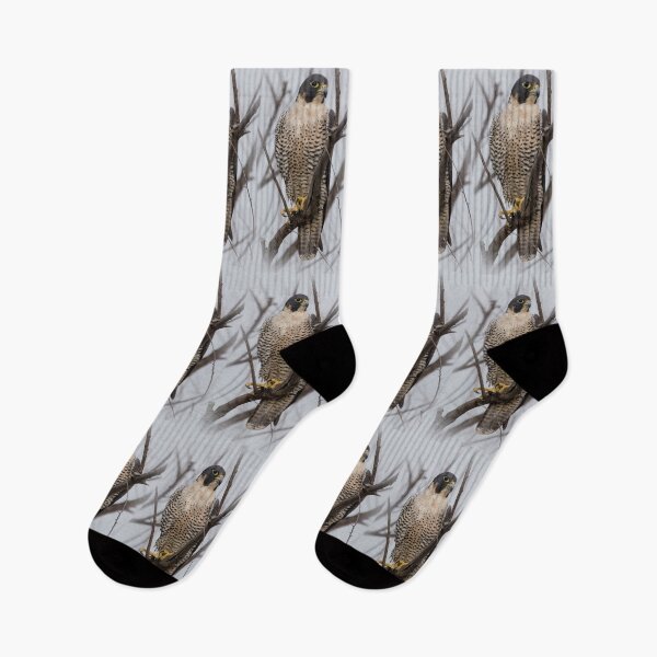 Item preview, The Fastest Animal On The Planet  designed and sold by CarolM.
