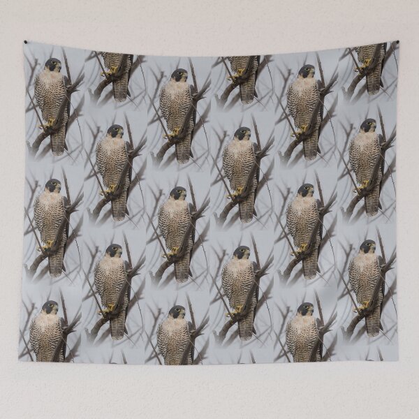 Item preview, The Fastest Animal On The Planet  designed and sold by CarolM.