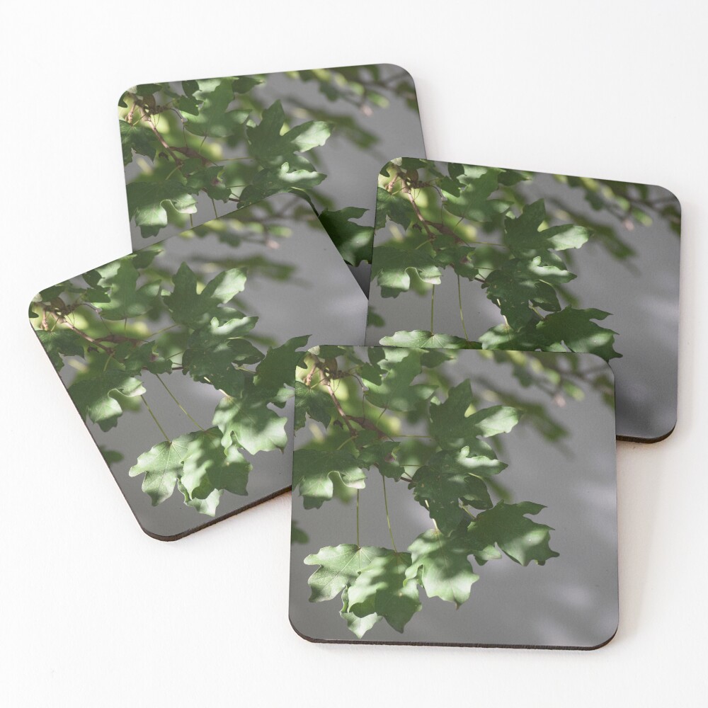 Item preview, Coasters (Set of 4) designed and sold by Reriginal.