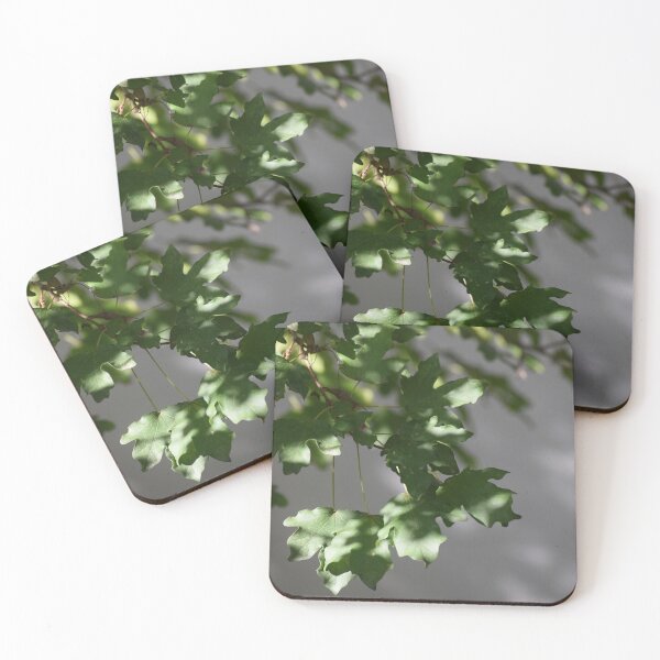 Item preview, Maple in Dappled Light designed and sold by Tracy Engle.