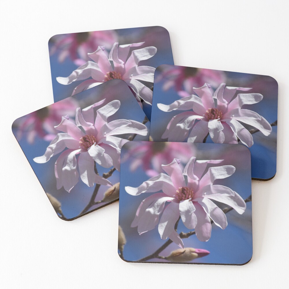 Item preview, Coasters (Set of 4) designed and sold by Reriginal.