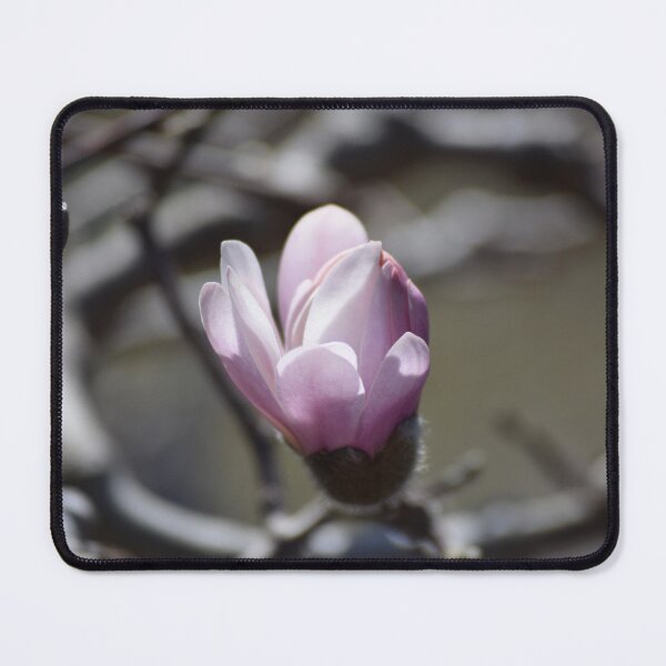 Item preview, Singular Blossom designed and sold by Tracy Engle.