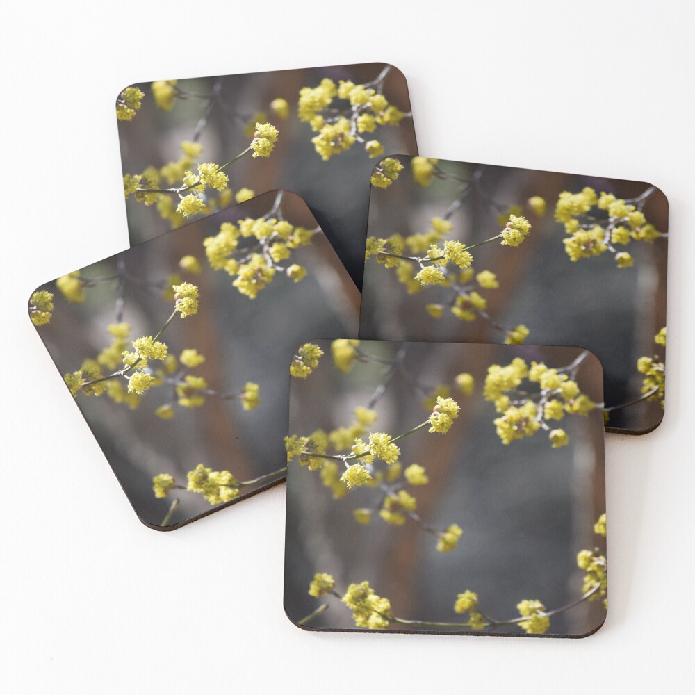 Item preview, Coasters (Set of 4) designed and sold by Reriginal.