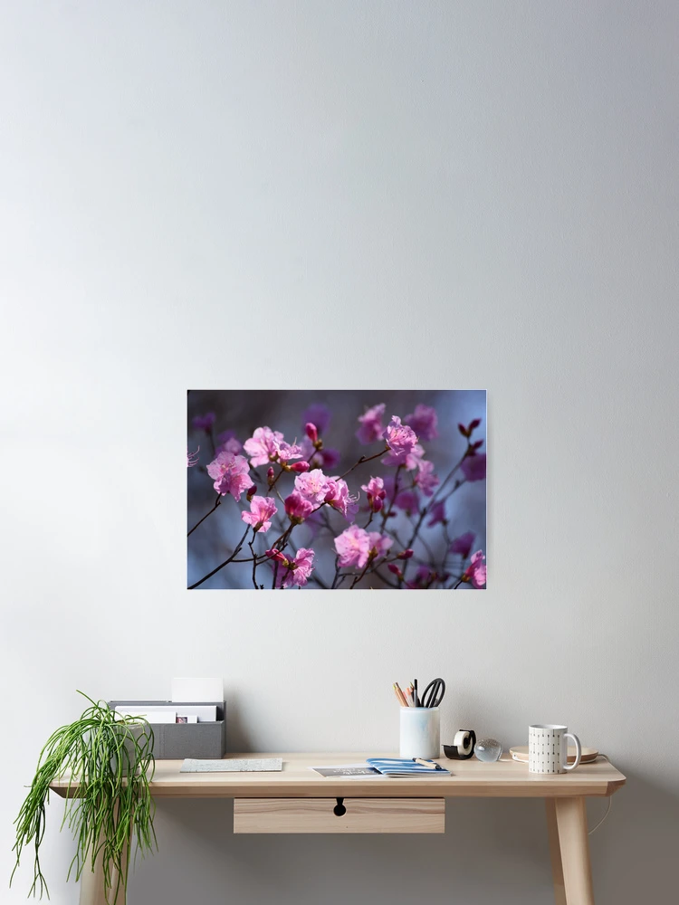 Thumbnail 2 of 3, Poster, Spring Dreams designed and sold by Tracy Engle.