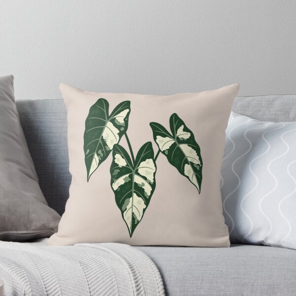 Item preview, Alocasia Frydek Variegata – Rare Variegated Velvet Leaf Plant designed and sold by Planthem.
