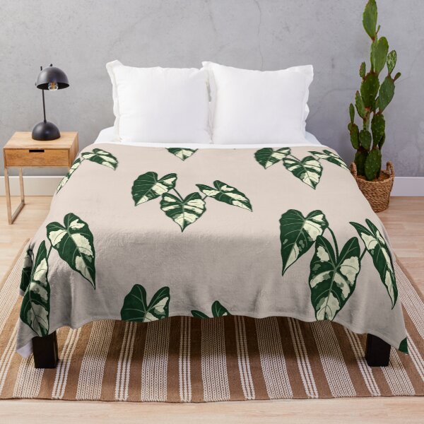 Item preview, Alocasia Frydek Variegata – Rare Variegated Velvet Leaf Plant designed and sold by Planthem.