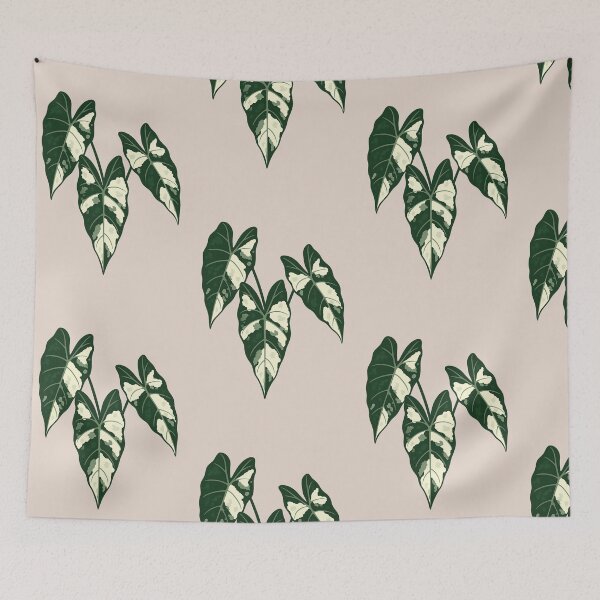 Item preview, Alocasia Frydek Variegata – Rare Variegated Velvet Leaf Plant designed and sold by Planthem.