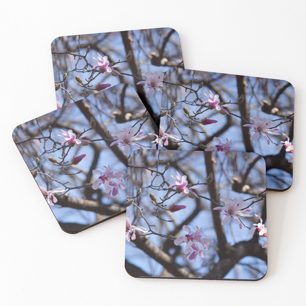 Item preview, Coasters (Set of 4) designed and sold by Tracy Engle.