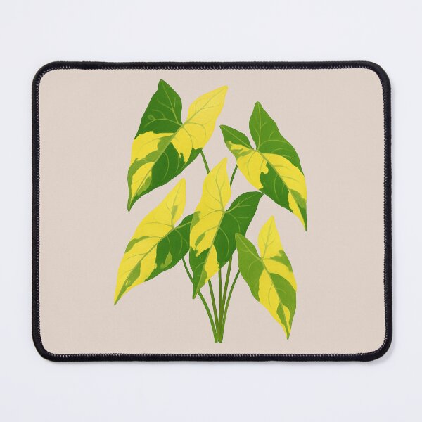 Item preview, Syngonium Aurea Variegata – Rare Yellow Variegated Arrowhead Plant designed and sold by Planthem.