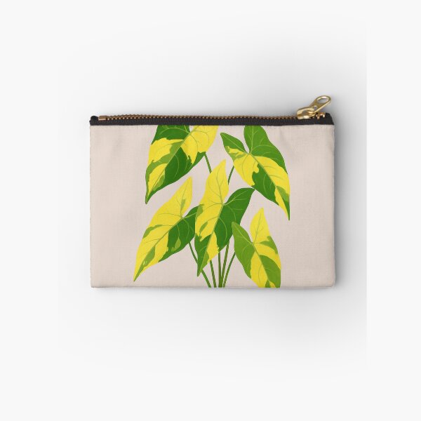 Item preview, Syngonium Aurea Variegata – Rare Yellow Variegated Arrowhead Plant designed and sold by Planthem.