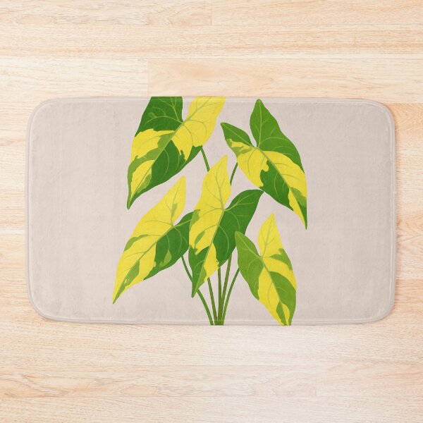 Item preview, Syngonium Aurea Variegata – Rare Yellow Variegated Arrowhead Plant designed and sold by Planthem.