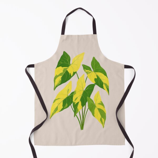 Item preview, Syngonium Aurea Variegata – Rare Yellow Variegated Arrowhead Plant designed and sold by Planthem.