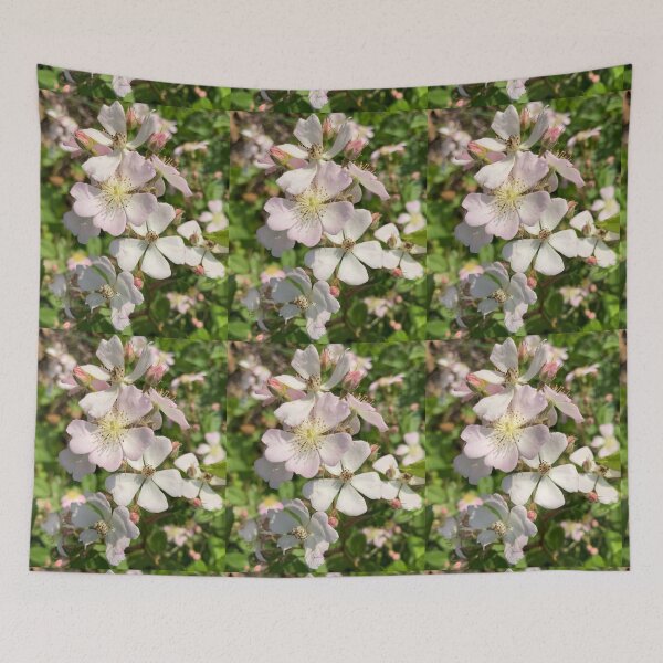 Item preview, Rosa bebé designed and sold by Amanda1775.