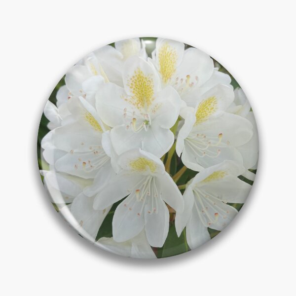 Item preview, White Rhododendron  designed and sold by Amanda1775.