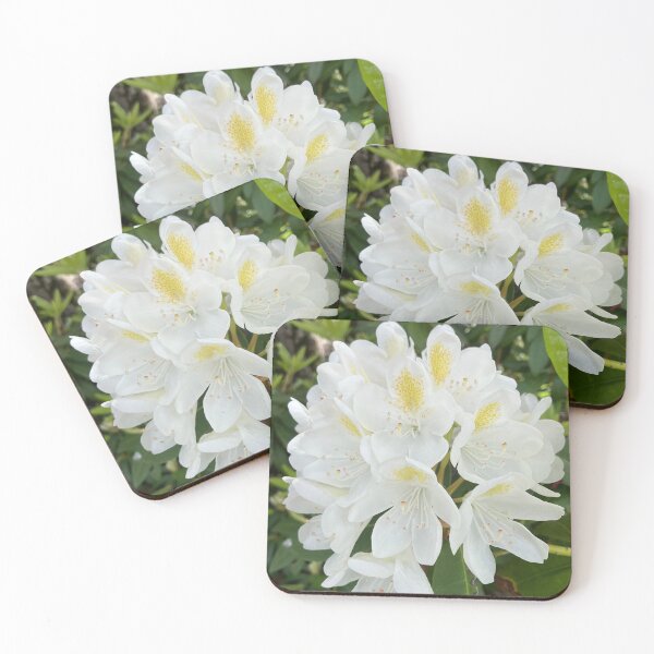 Item preview, White Rhododendron  designed and sold by Amanda1775.
