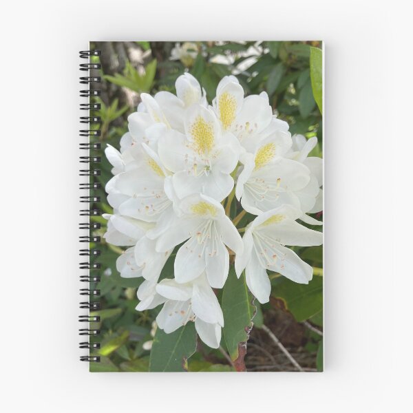 Artikelvorschau, Weißer Rhododendron entworfen und verkauft von Amanda1775.
