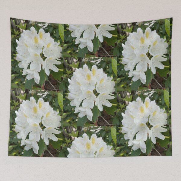 Item preview, White Rhododendron  designed and sold by Amanda1775.