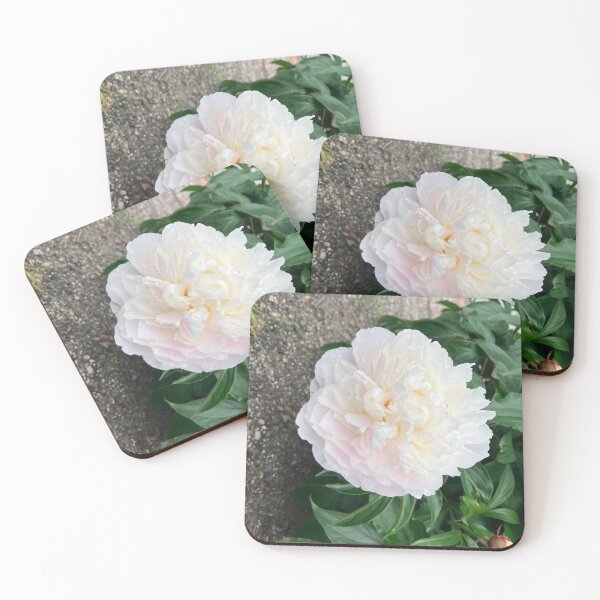 Item preview, White Peony  designed and sold by Amanda1775.