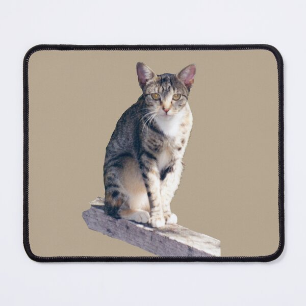 Item preview, A Tabby Cat designed and sold by STHogan2.