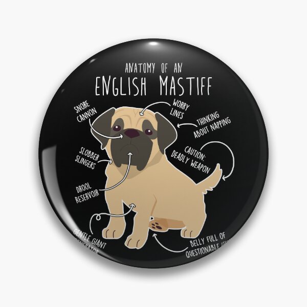 Item preview, English Mastiff Dog Anatomy designed and sold by Clara Hollins.