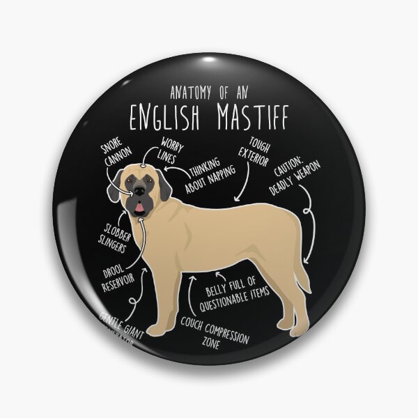 Item preview, English Mastiff Dog Anatomy designed and sold by Clara Hollins.