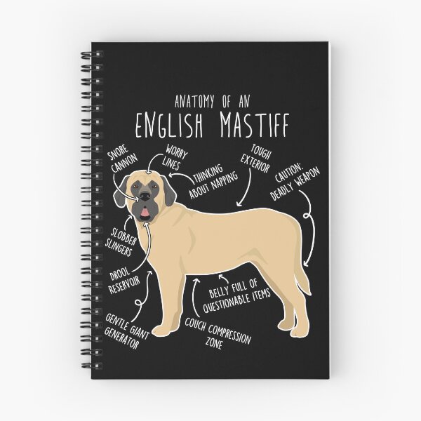 Item preview, English Mastiff Dog Anatomy designed and sold by Clara Hollins.