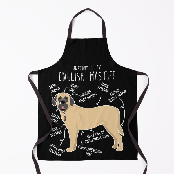 Item preview, English Mastiff Dog Anatomy designed and sold by Clara Hollins.