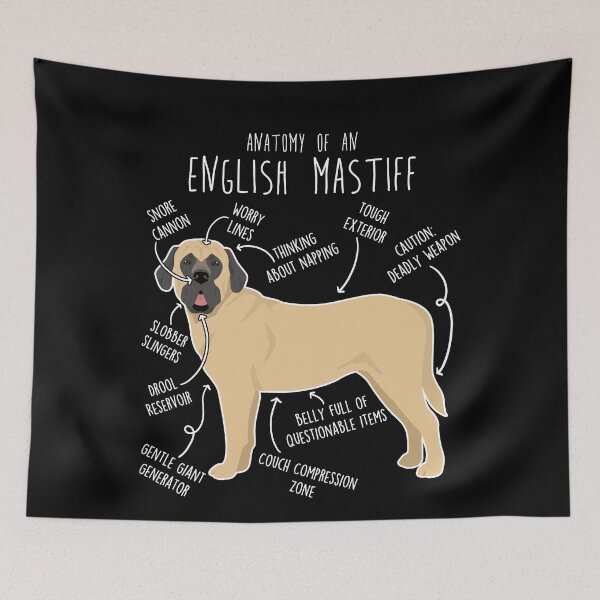 Item preview, English Mastiff Dog Anatomy designed and sold by Clara Hollins.