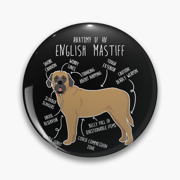 Item preview, Apricot English Mastiff Dog Anatomy designed and sold by Clara Hollins.