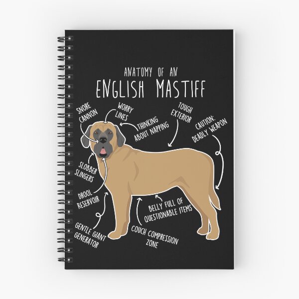 Item preview, Apricot English Mastiff Dog Anatomy designed and sold by Clara Hollins.