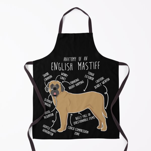 Item preview, Apricot English Mastiff Dog Anatomy designed and sold by Clara Hollins.