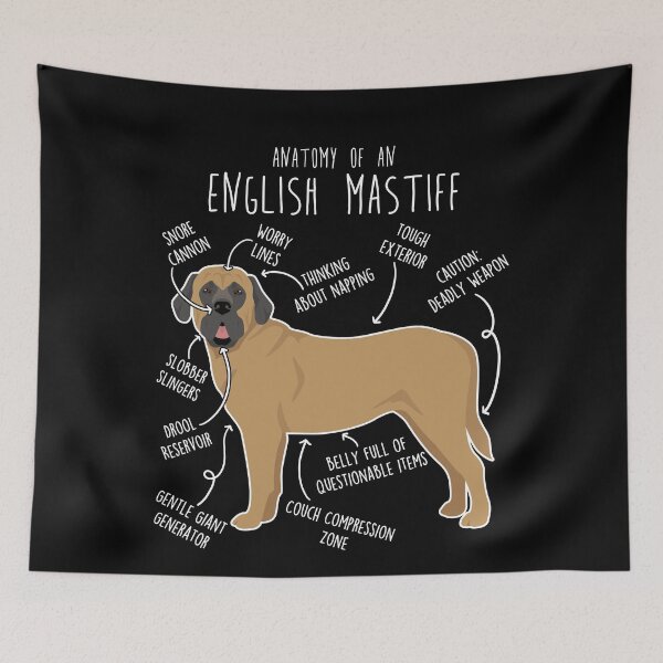 Item preview, Apricot English Mastiff Dog Anatomy designed and sold by Clara Hollins.