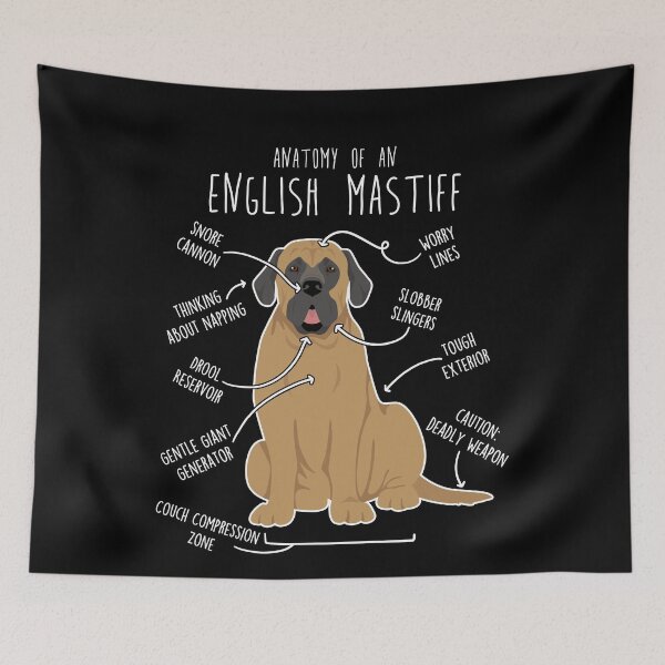Item preview, Apricot English Mastiff Dog Anatomy designed and sold by Clara Hollins.