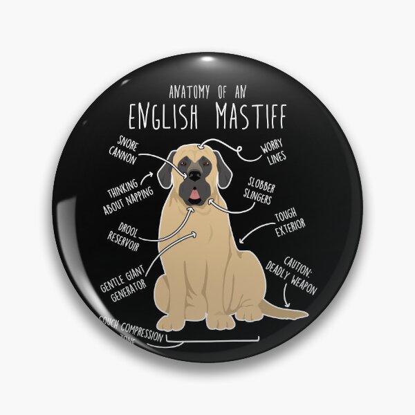 Item preview, English Mastiff Dog Anatomy designed and sold by Clara Hollins.