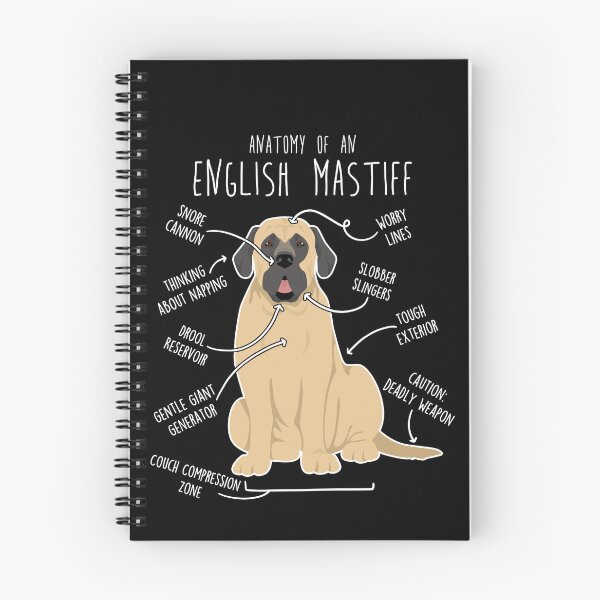 Item preview, English Mastiff Dog Anatomy designed and sold by Clara Hollins.