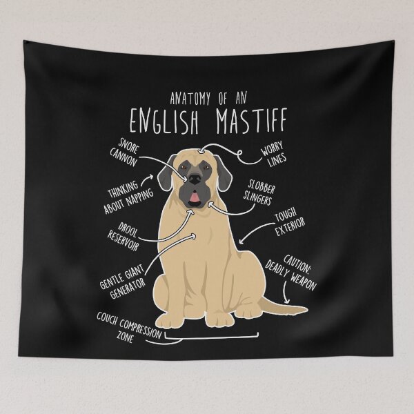 Item preview, English Mastiff Dog Anatomy designed and sold by Clara Hollins.