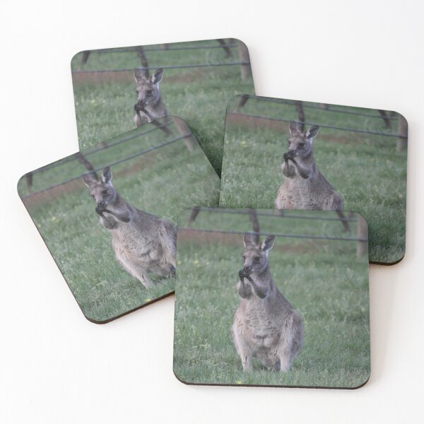 Item preview, Kanga cleaning his paws designed and sold by Kymbo.