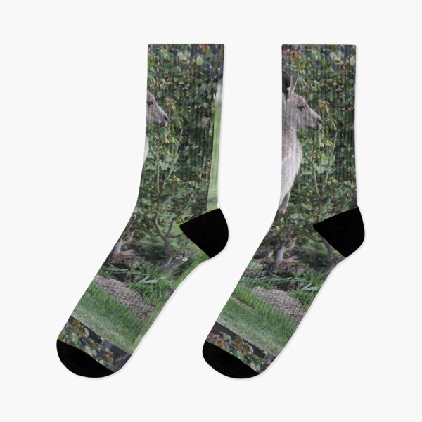 Item preview, Kangaroo in the Garden designed and sold by Kymbo.