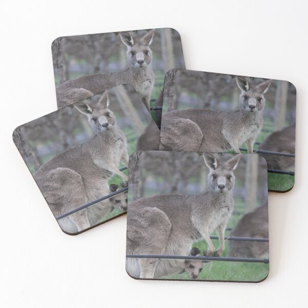 Item preview, Peekaboo-Kangaroo and Joey! designed and sold by Kymbo.