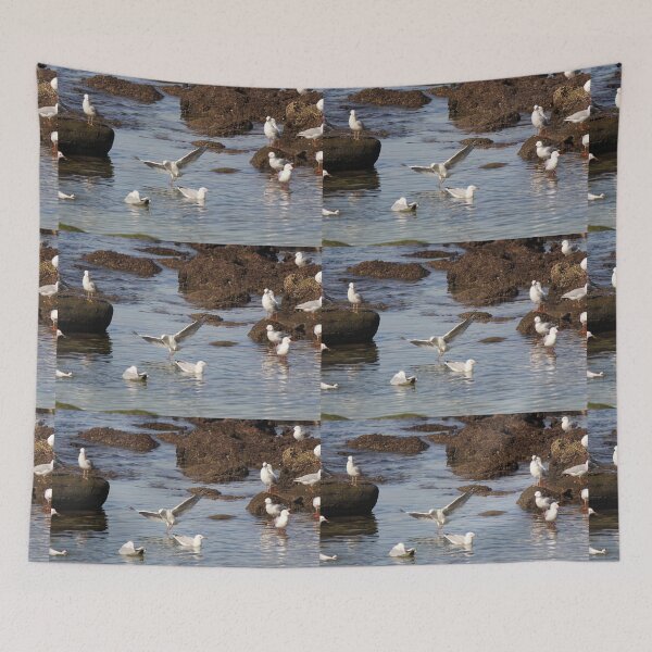 Item preview, Bondi Seagulls designed and sold by Kymbo.