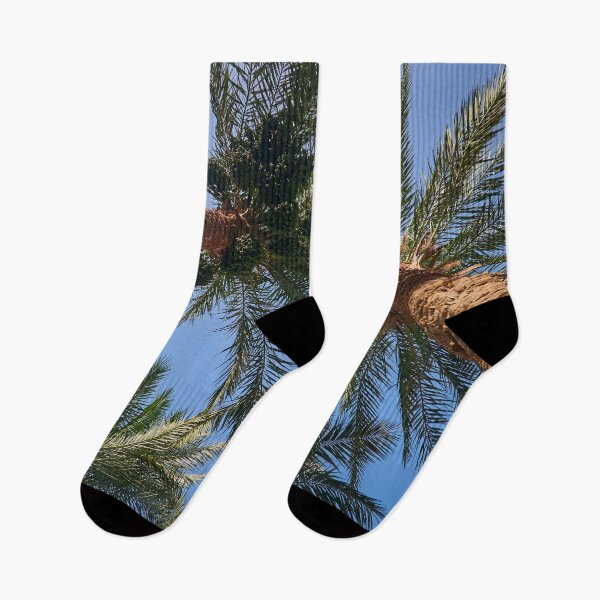 Item preview, palm tree growing against blue sky designed and sold by IgorKovalenko.