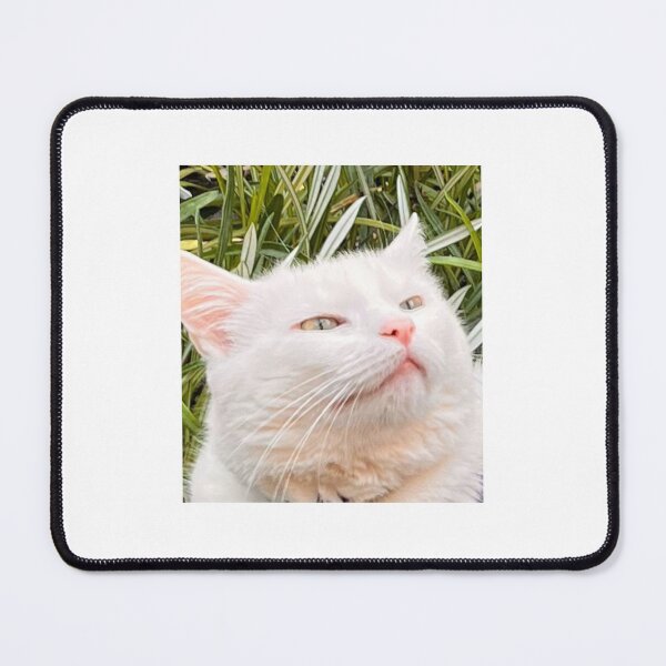 Item preview, Sebby Cat designed and sold by CSebbY_Designs.
