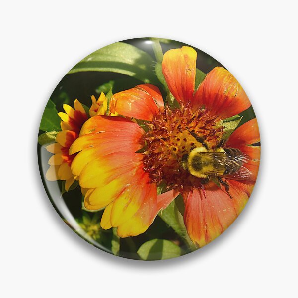 Item preview, Bumblebee on an Indian Blanket Flower designed and sold by MercerImages.
